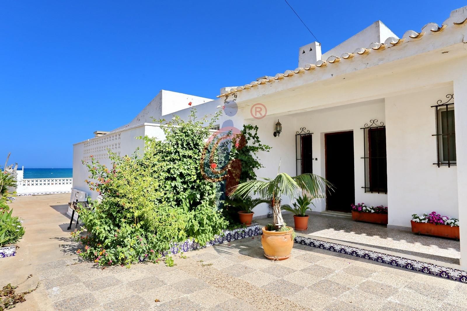 Vista exterior de Casa o chalet en venta en Guardamar del Segura con Jardín privado y Terraza