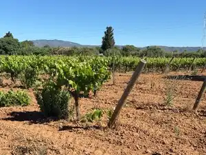 Vista exterior de Terreno en venta en Santa Oliva