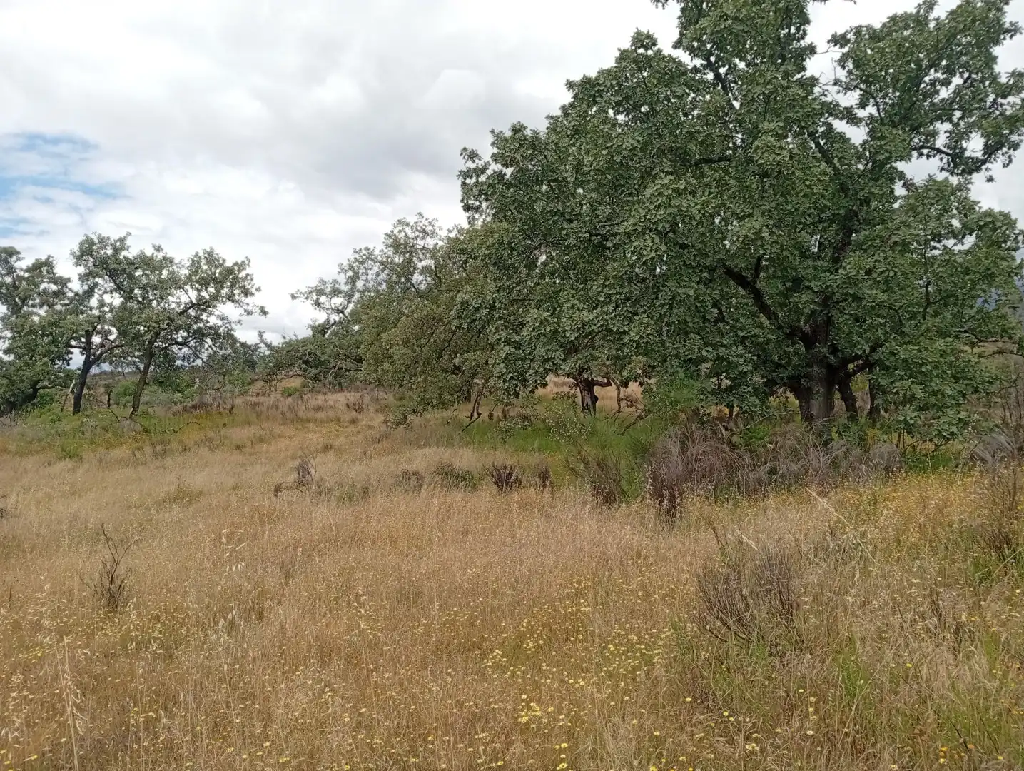 Terreni e lotti in vendita a Villanueva de la Vera, imagen 84