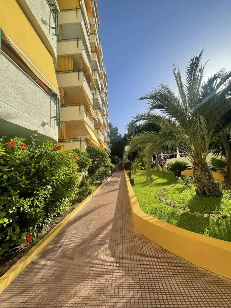 Vista exterior de Apartament en venda en Gandia amb Aire condicionat i Piscina