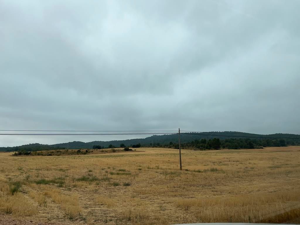 Land for sale in Peñas de San Pedro