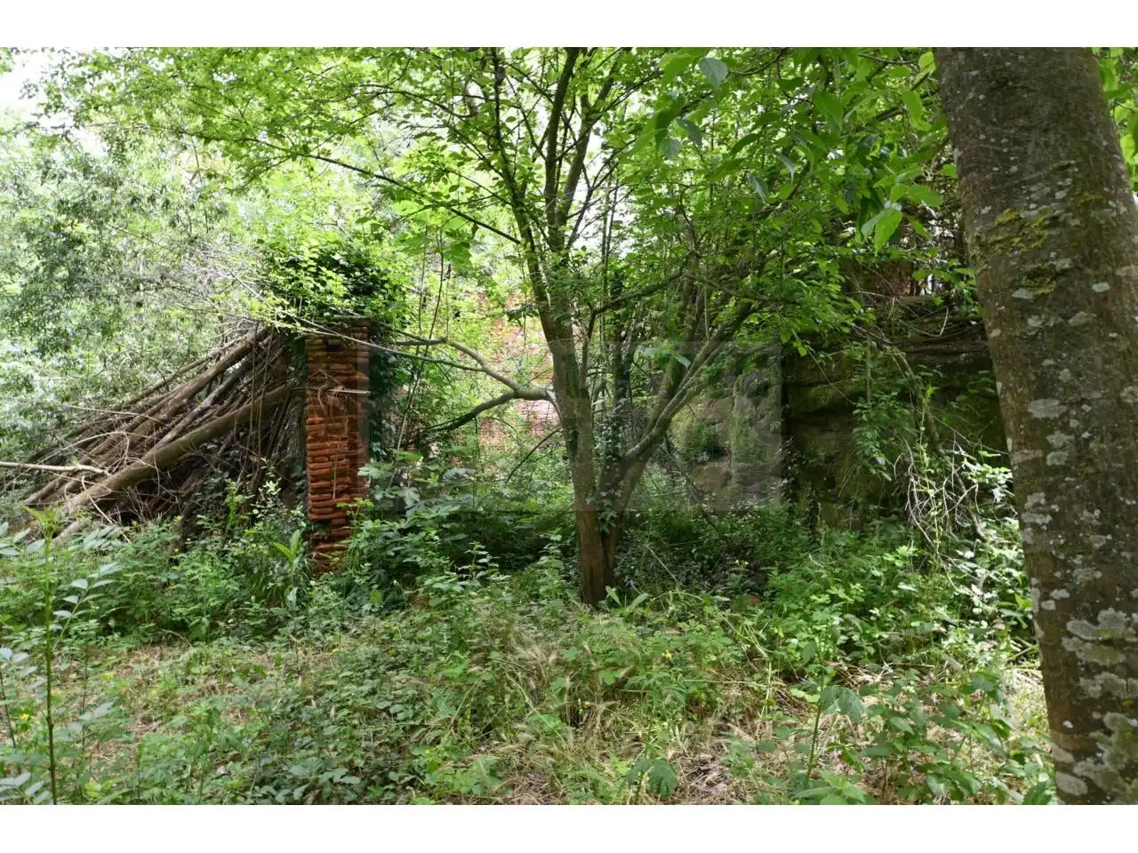 Finca rústica en venta en La Pera