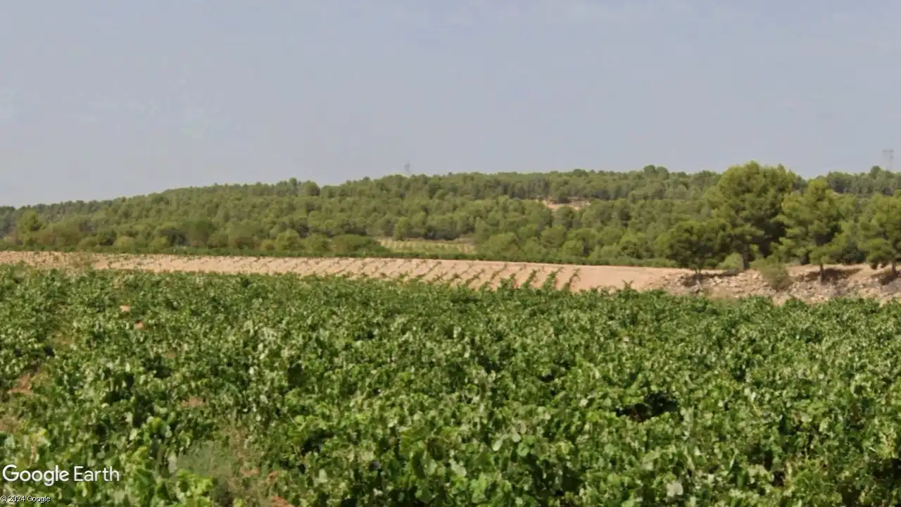 Rustikales Grundstück zum Verkauf in Venta del Moro, imagen 2