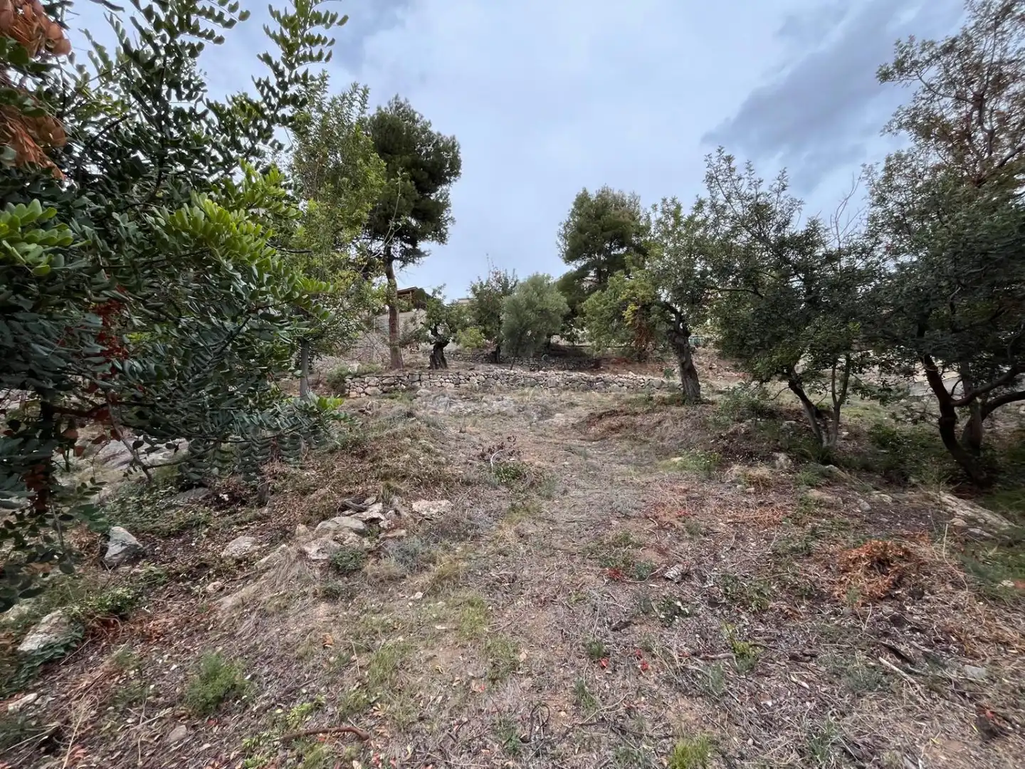 Lands and plots for sale in BENADRESSA, imagen 5