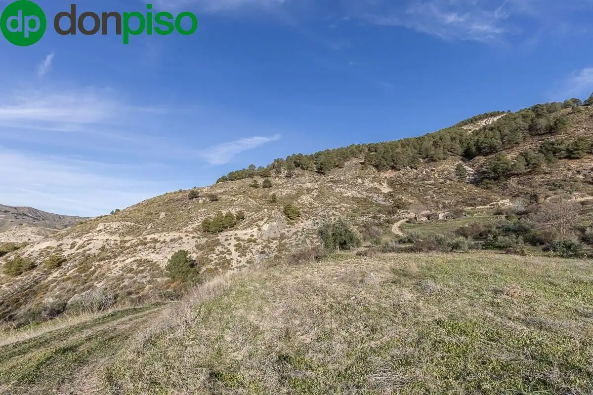 Rustikales Grundstück zum Verkauf in Camino DE LA UMBRIA, imagen 15