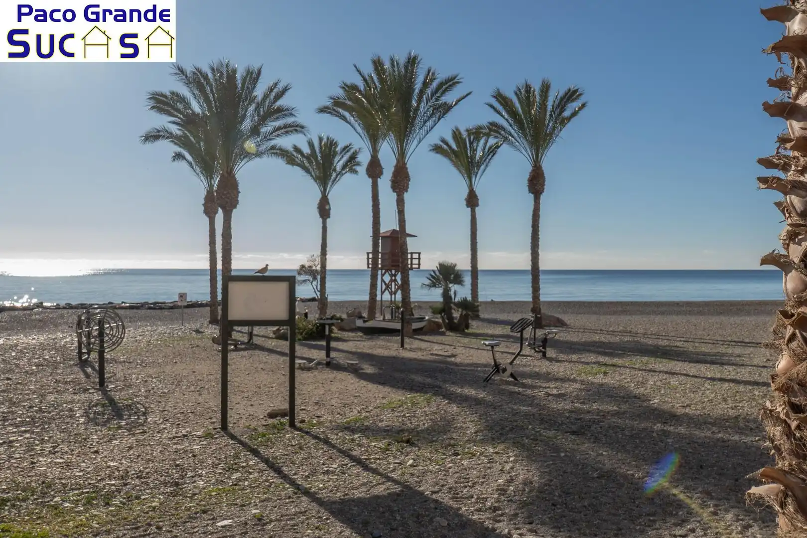 Flat with terrace for sale in Calle REAL, imagen 35