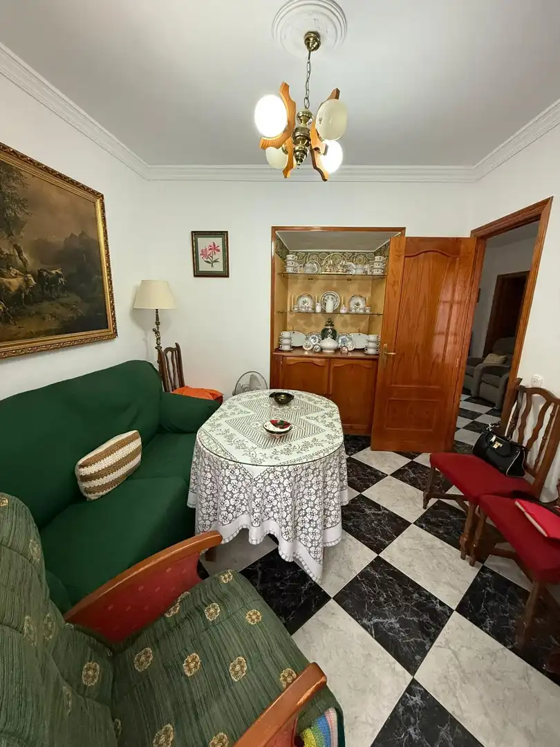 Sala d'estar de Casa o xalet en venda en Pizarra