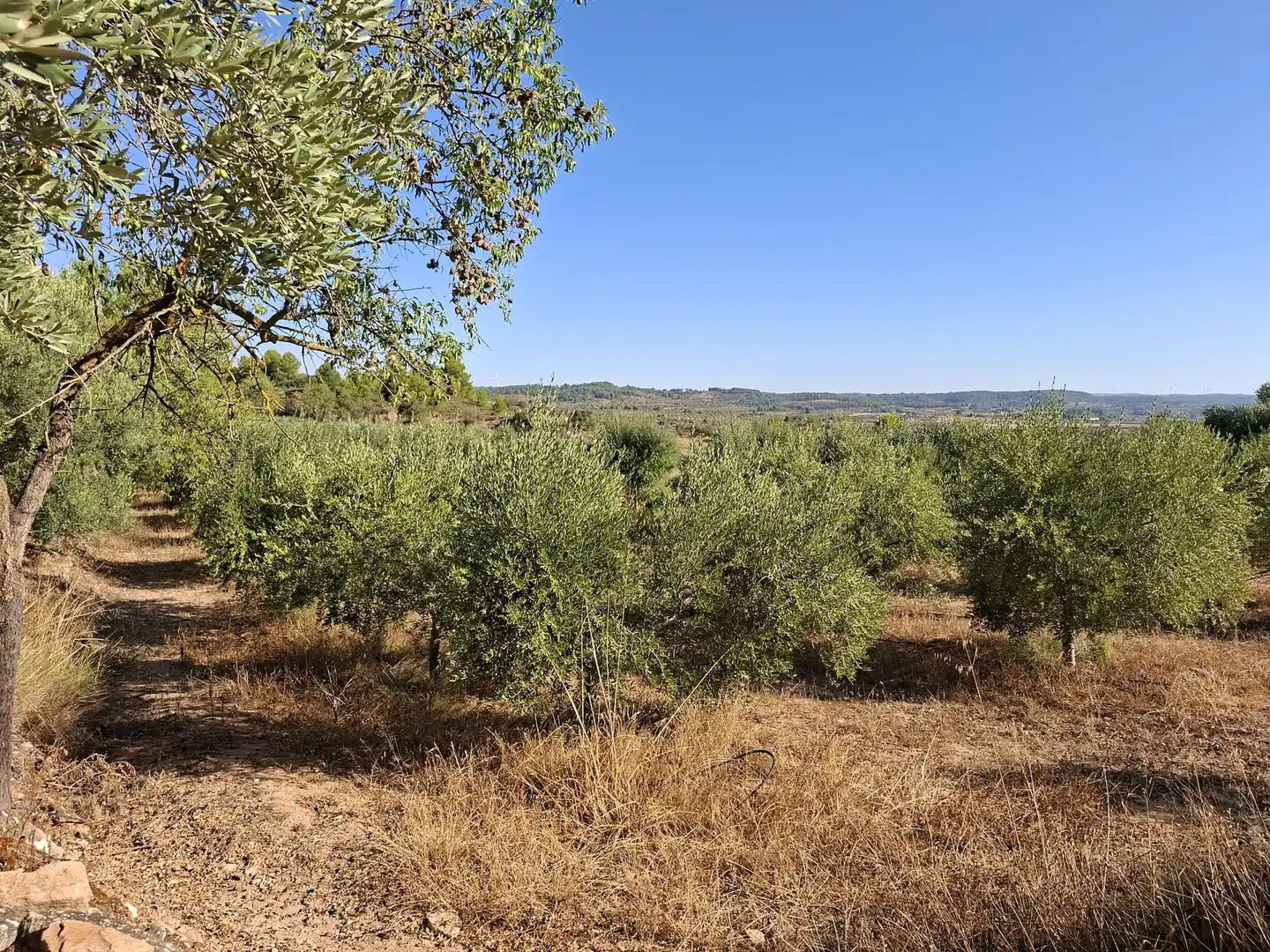 Terreno rustico in vendita a Diseminado Diseminats 6, imagen 25