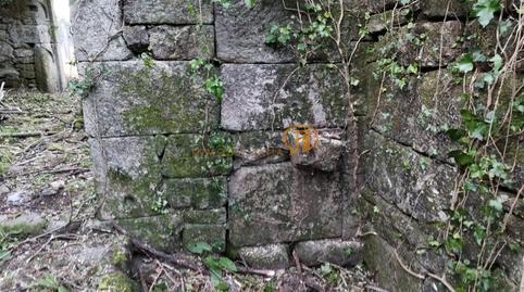 Foto 5 de Finca rústica en venda a Parroquias Rurales, Pontevedra