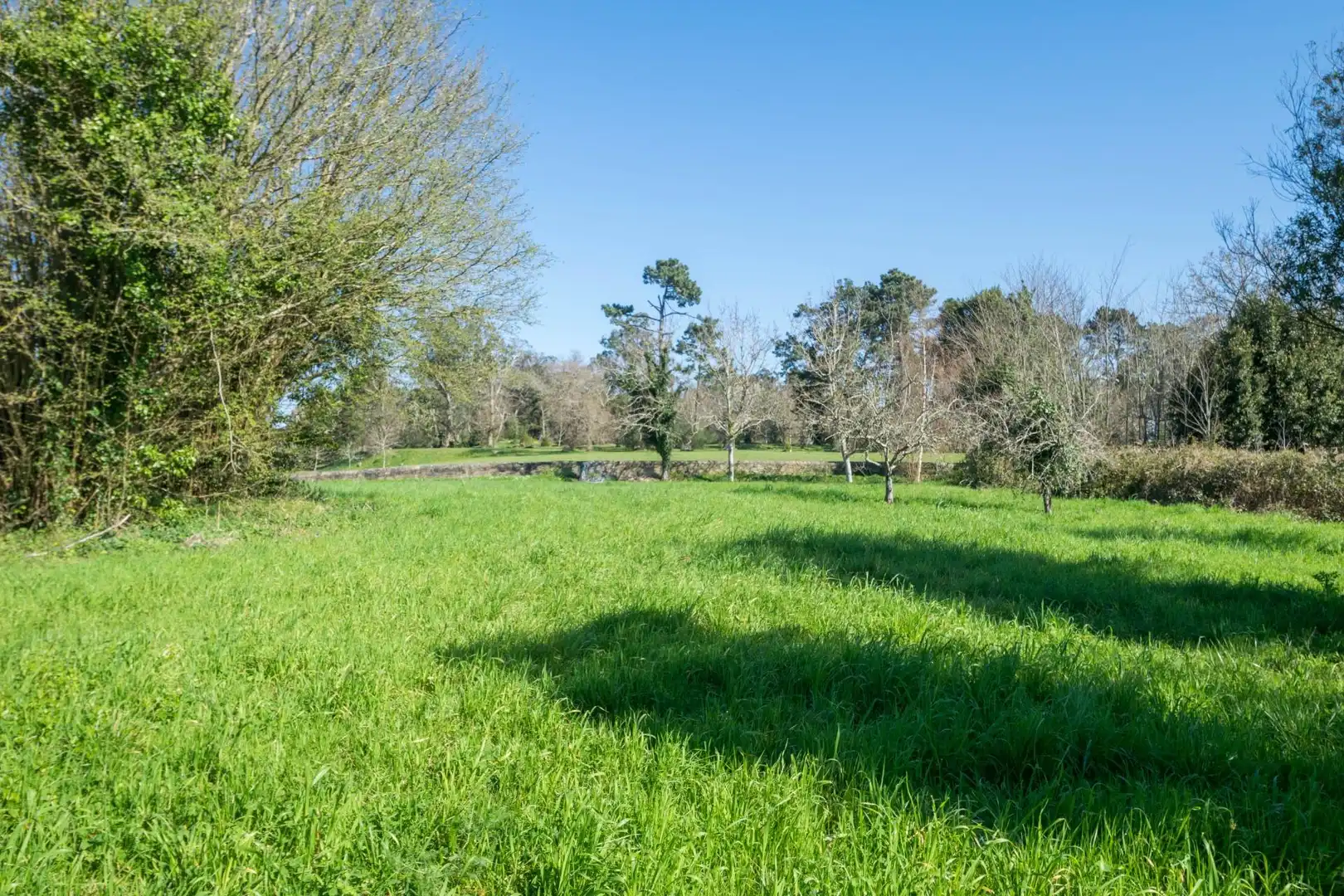 Casa o xalet en venda en Cambre  amb Jardí privat