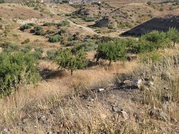 Terreni e lotti in vendita a Huércal-Overa