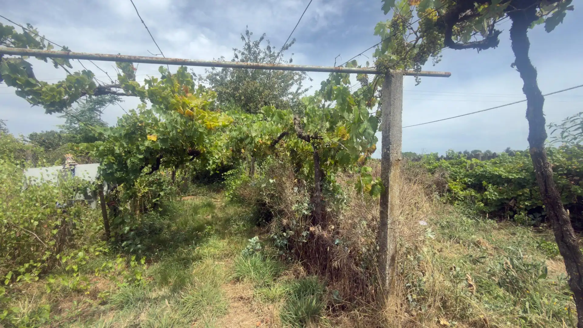 Casa o chalet en venta en Monforte de Lemos con Calefacción, Jardín privado y Terraza