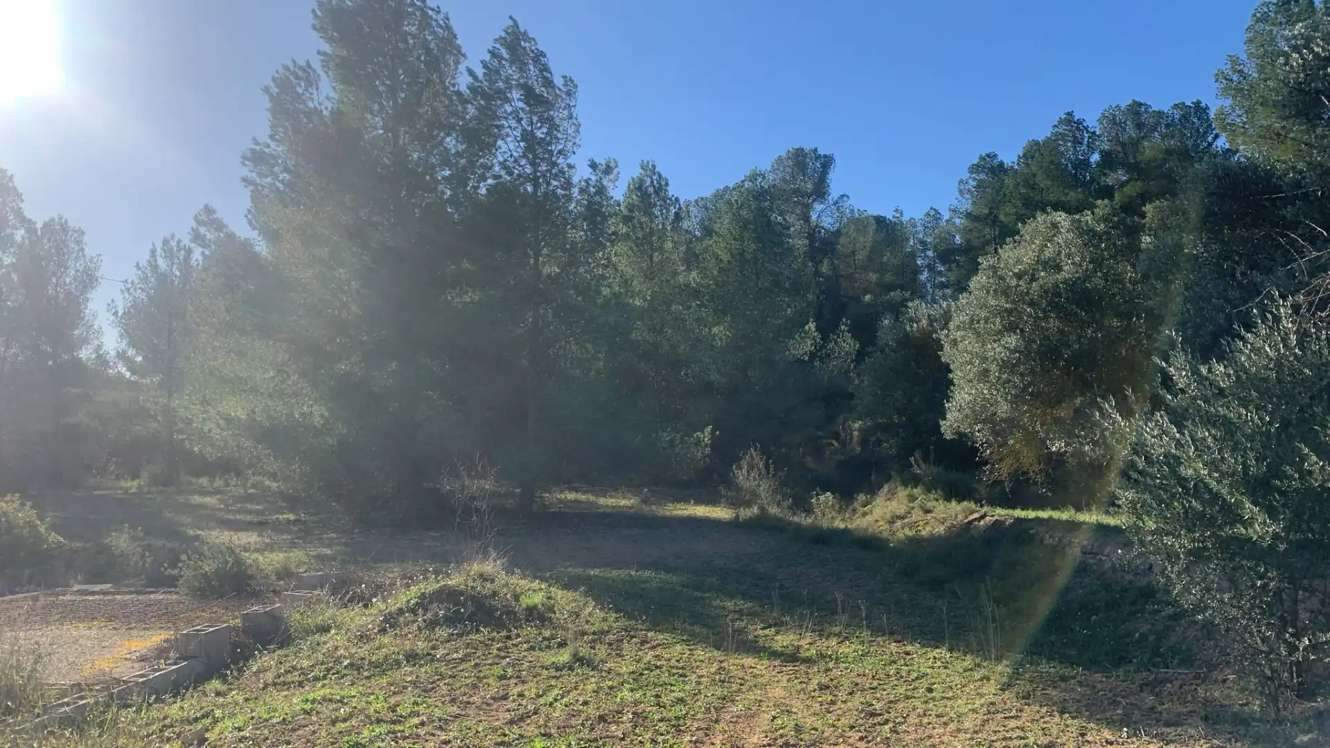 Terreno rustico in vendita a Ascó, imagen 8