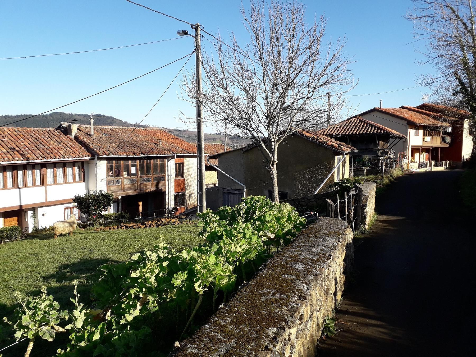 Vista exterior de Casa o xalet en venda en Piloña amb Traster