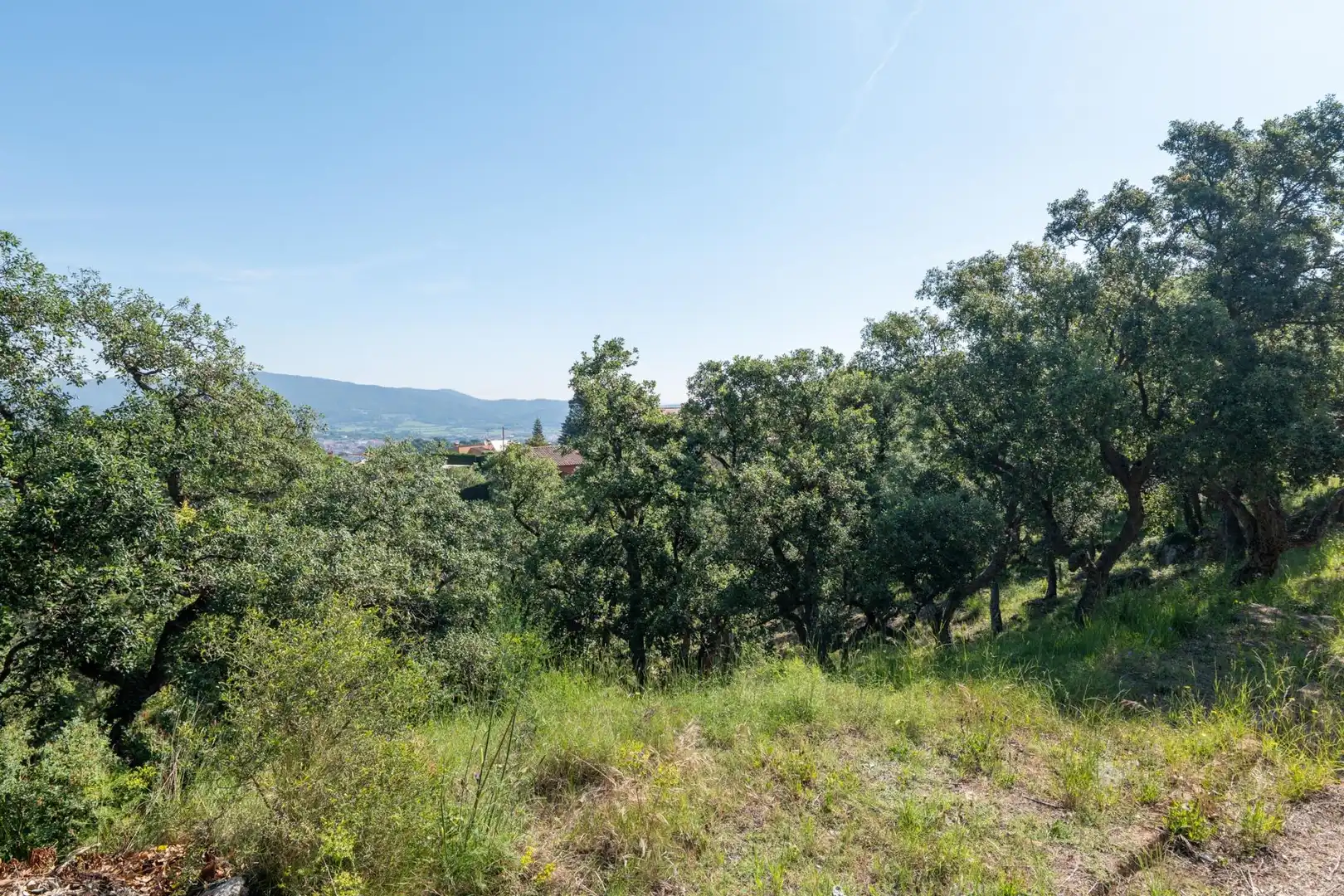Residential land for sale in Carrer d'Isidre Nonell 62, imagen 11