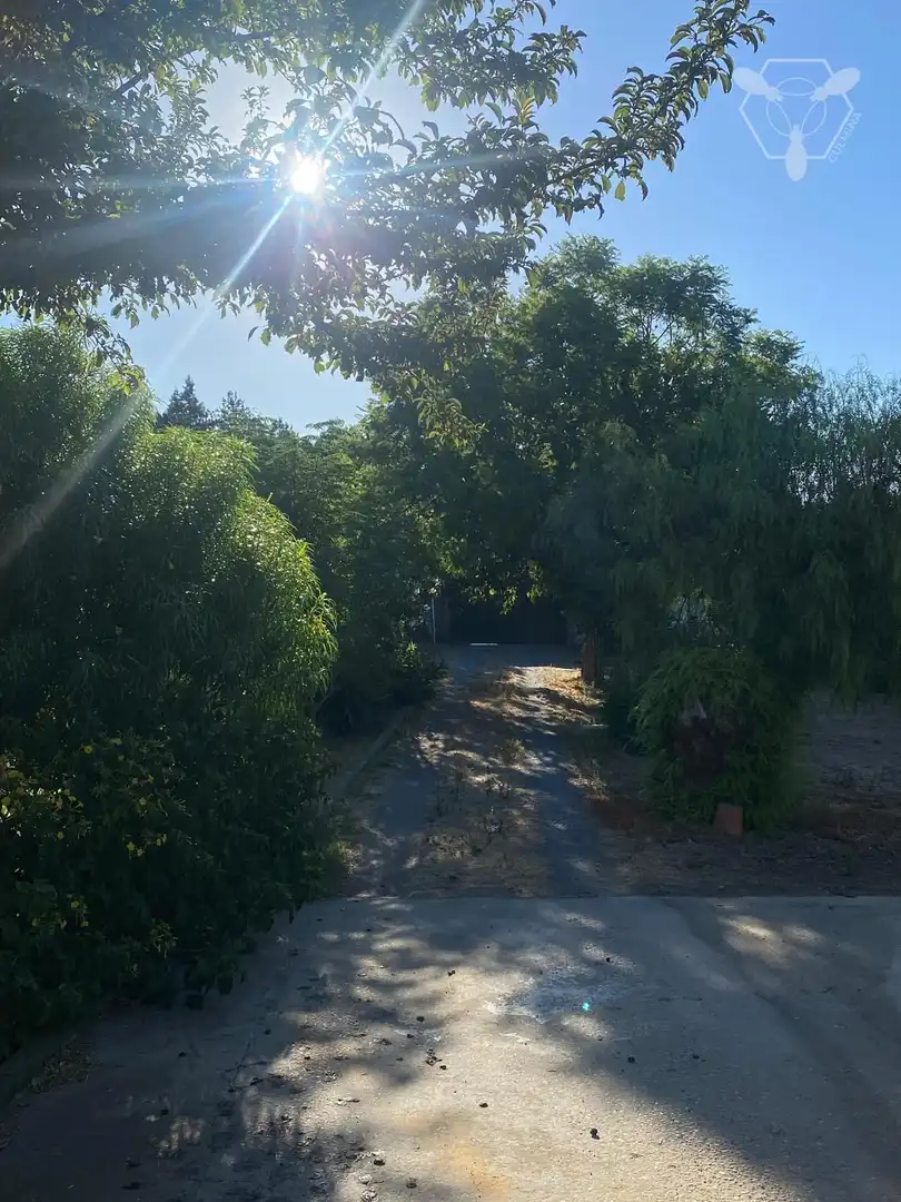 Vista exterior de Casa o chalet en venta en Gibraleón