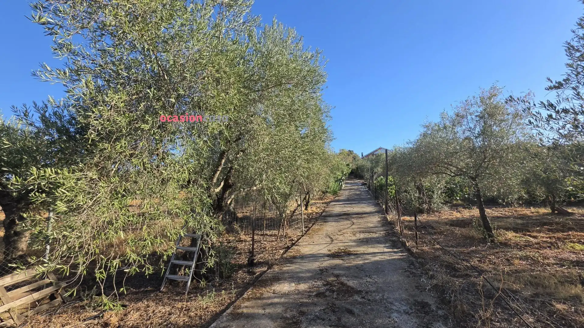 Wohnbaugrundstück zum Verkauf in La Granjuela, imagen 12