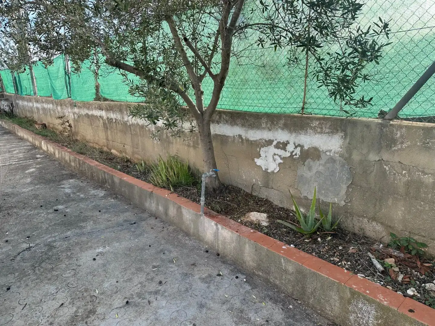 Detached house with pool for sale in Real, imagen 9