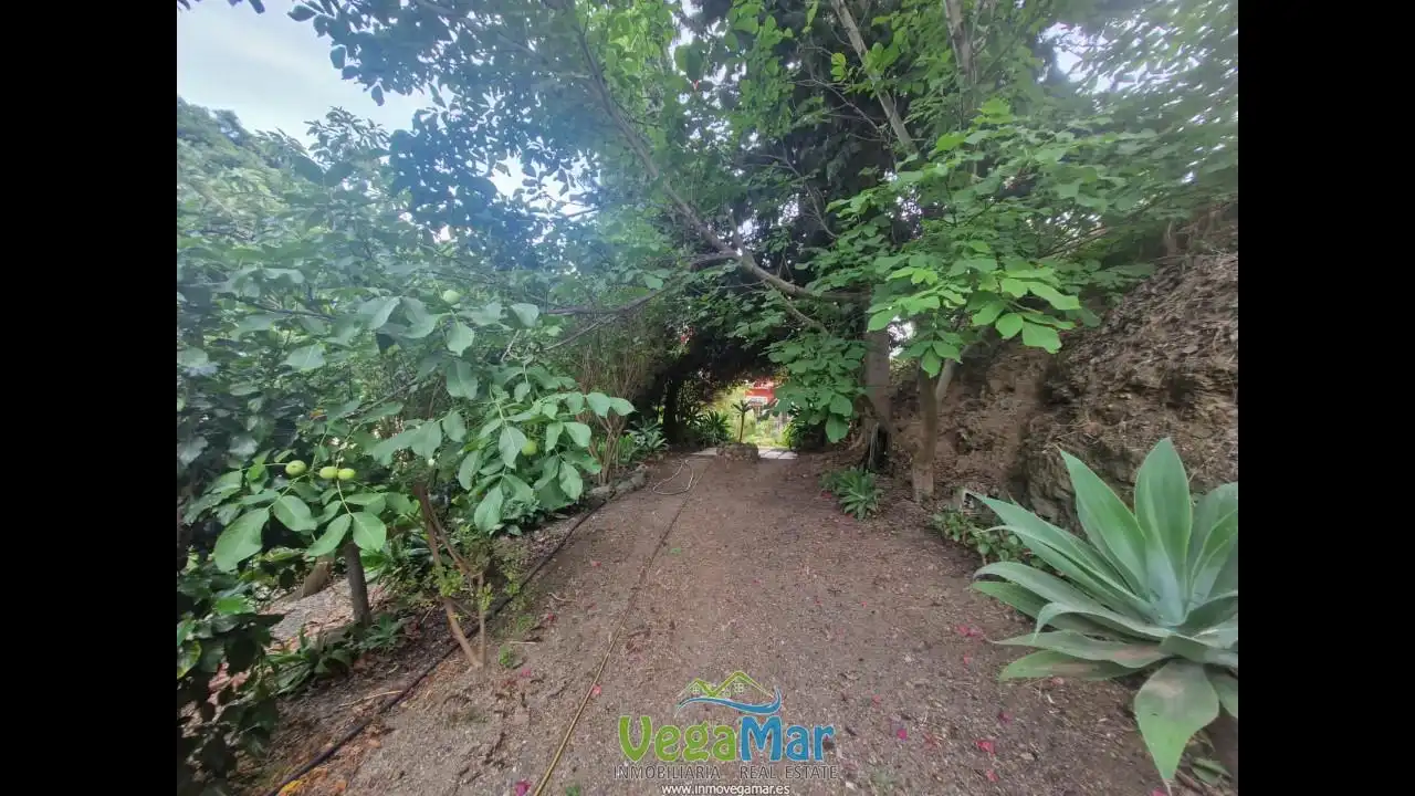 Jardí de Finca rústica en venda en Jete amb Jardí privat, Terrassa i Piscina