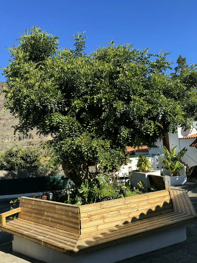 House with garden for sale in San Bartolomé Interior, imagen 46