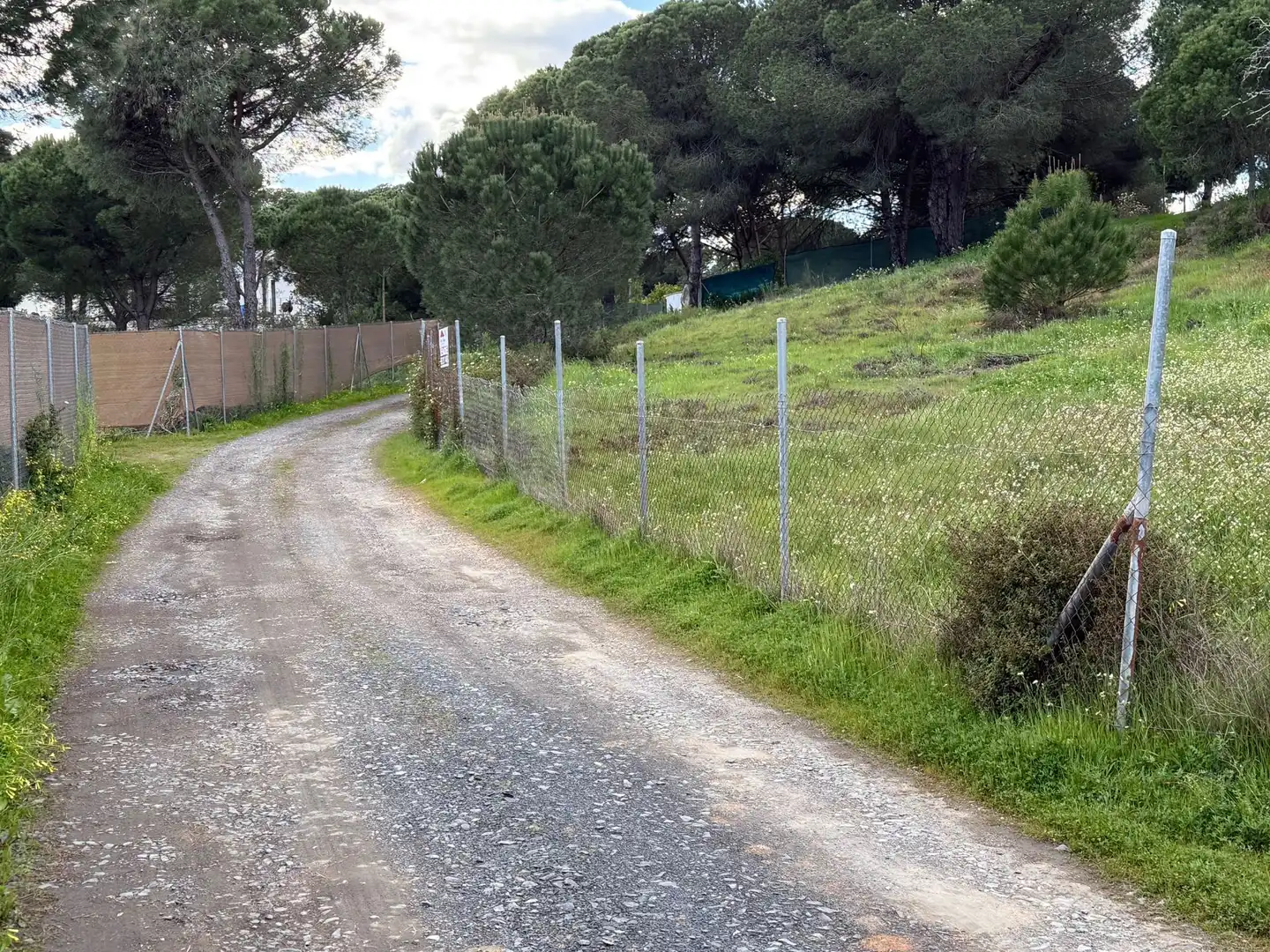 Terrenos y solares en venta en Las Palmillas, imagen 12
