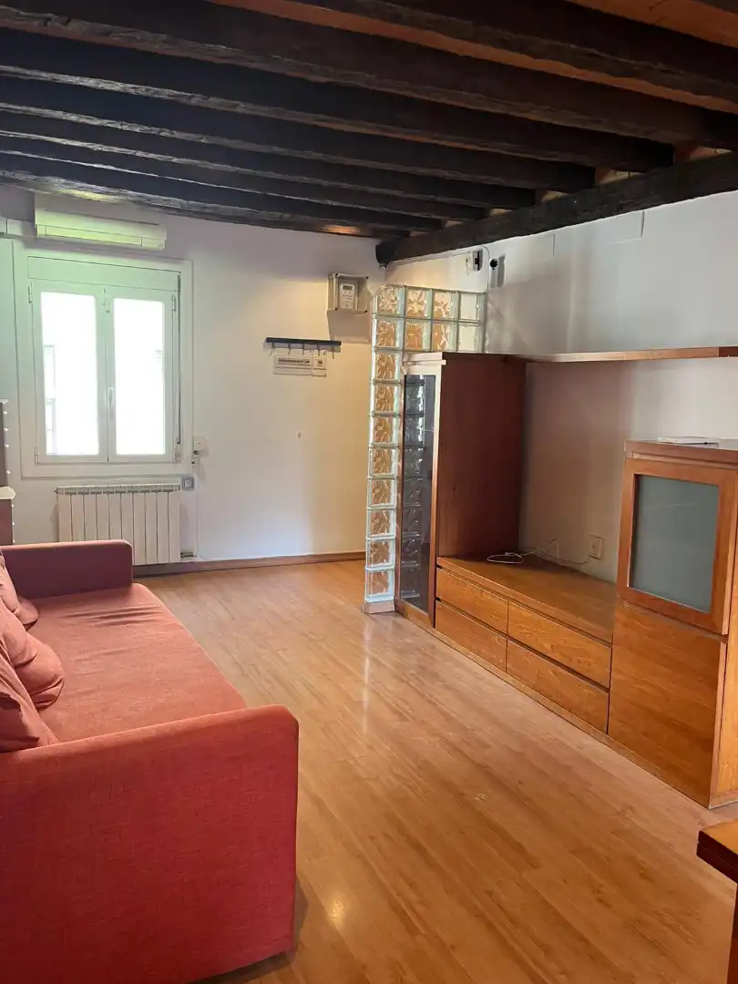 Sala de estar de Piso en venta en Barcelona con Aire acondicionado, Calefacción y Parquet