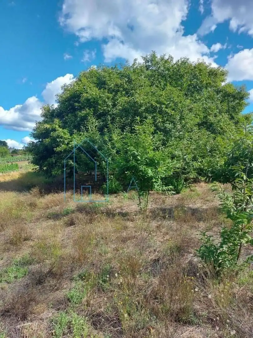 Villa à vendre à Lugar Loureiro 77, imagen 36