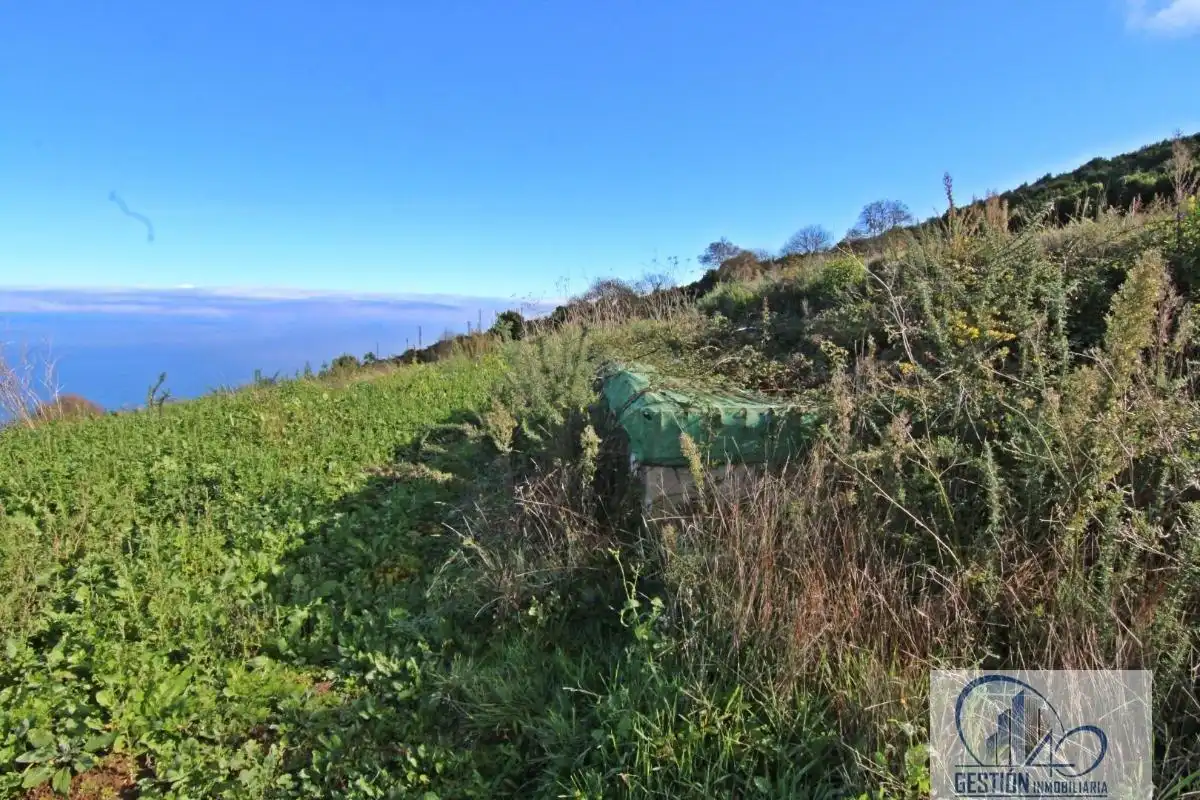 Finca rústica en venta en Los Realejos