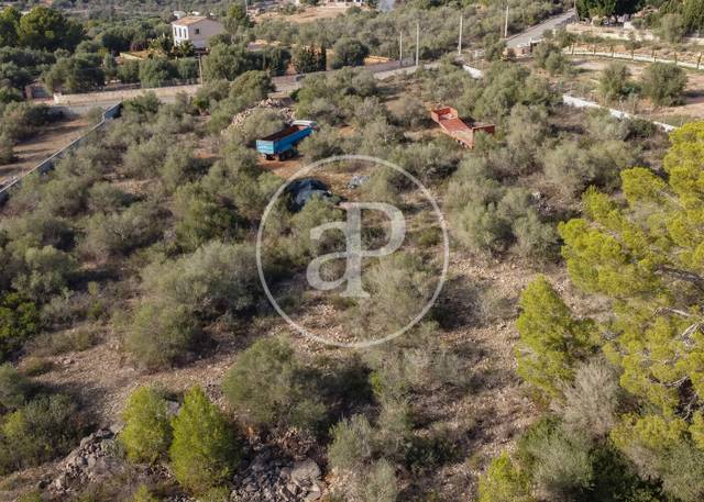 Terreno residencial en Venta en Disseminat Puntiro en Puntiró