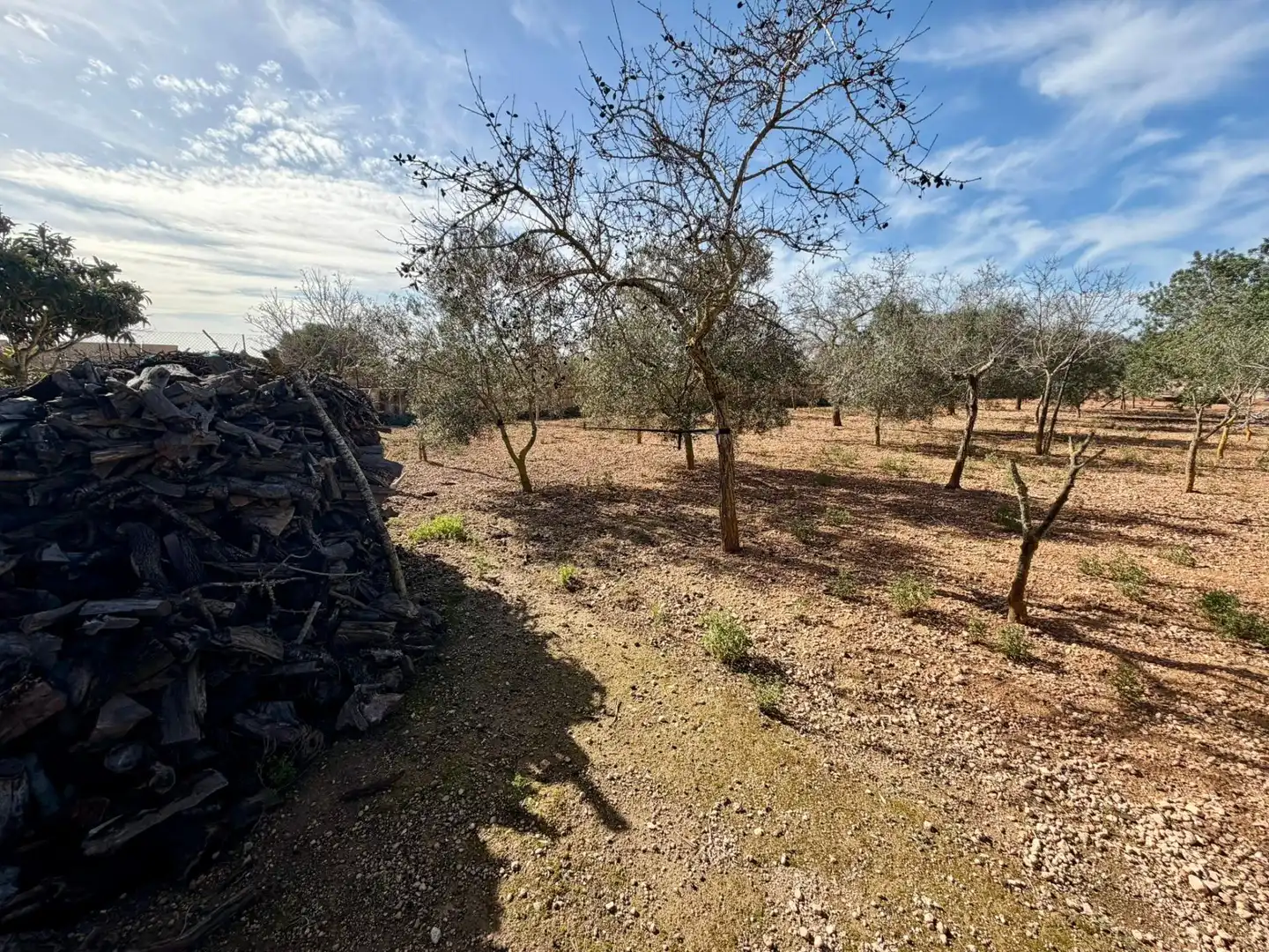 Country homes for sale in Llucmajor  with Private garden, Terrace and Alarm