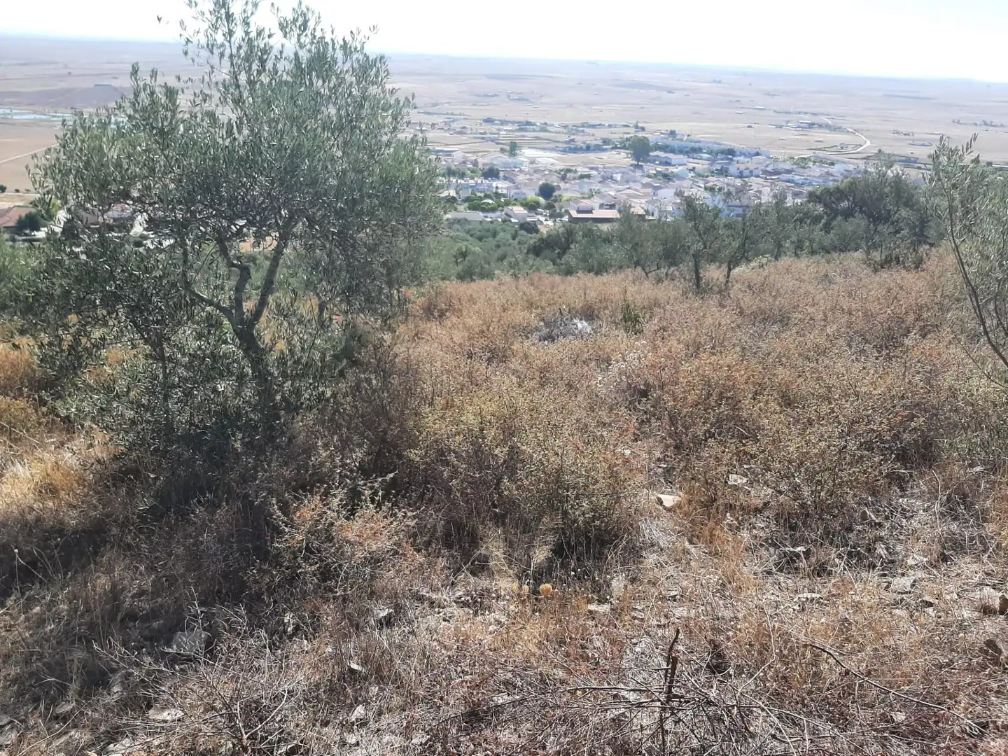 Terreni e lotti in vendita a Sierra de Fuentes, imagen 13