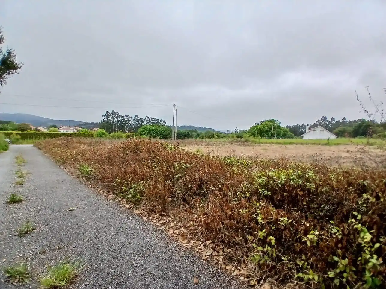 Terreny residencial en venda a Lugar PINOS, imagen 2