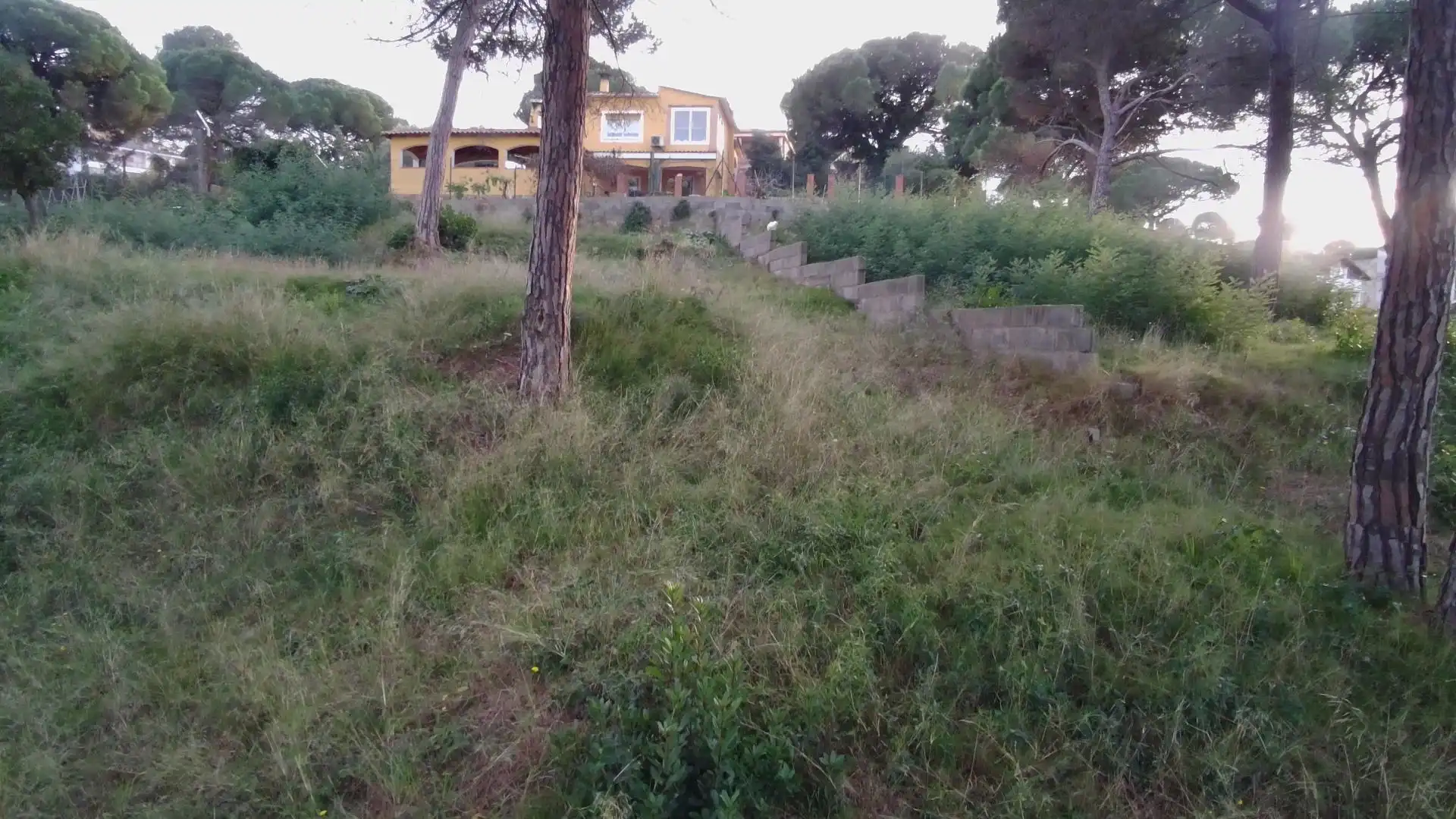 Terreno residencial en venta en Mas Mora - Sant Daniel, imagen 6