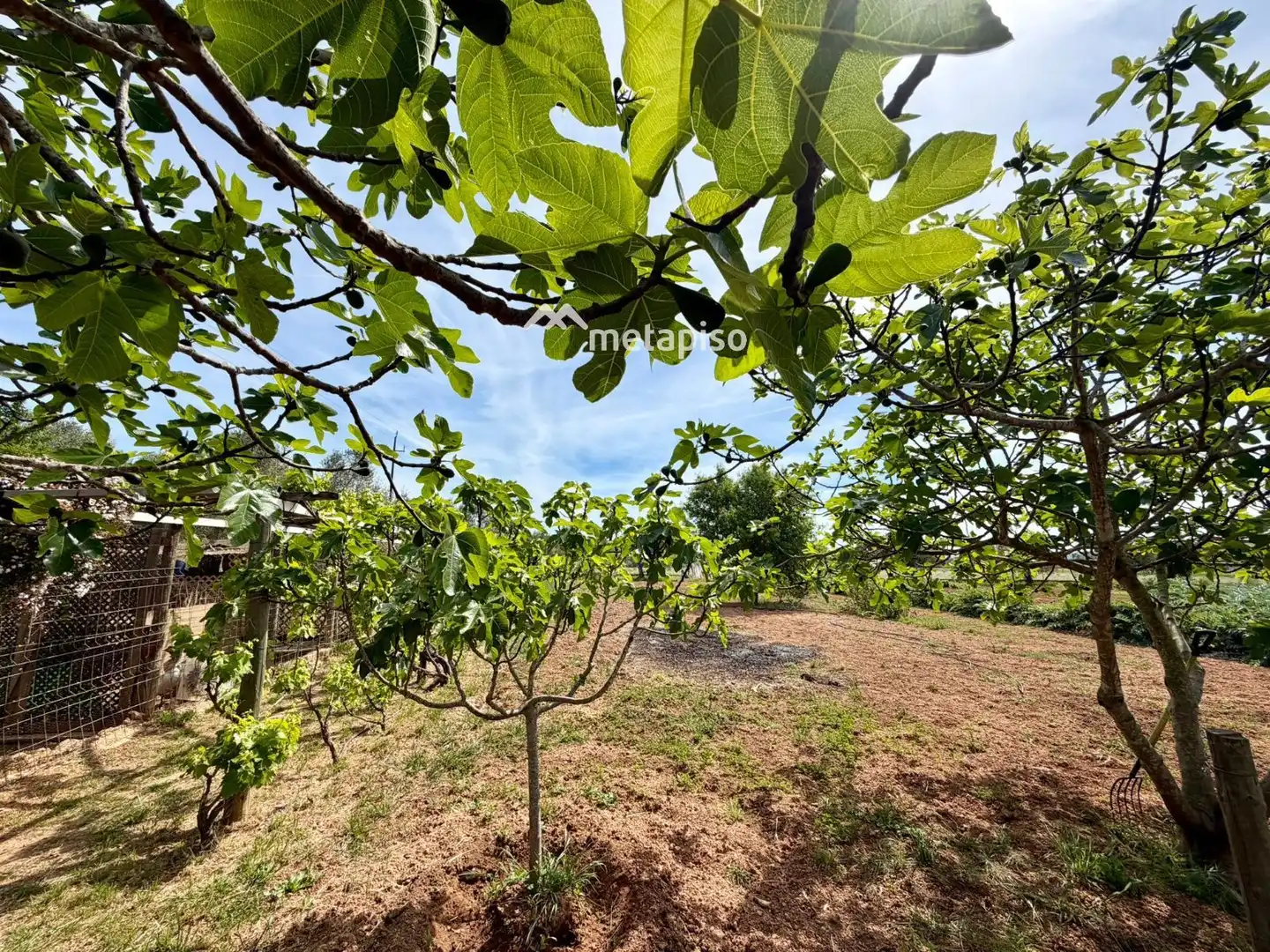 Terreno rustico in vendita a Santa Oliva, imagen 45