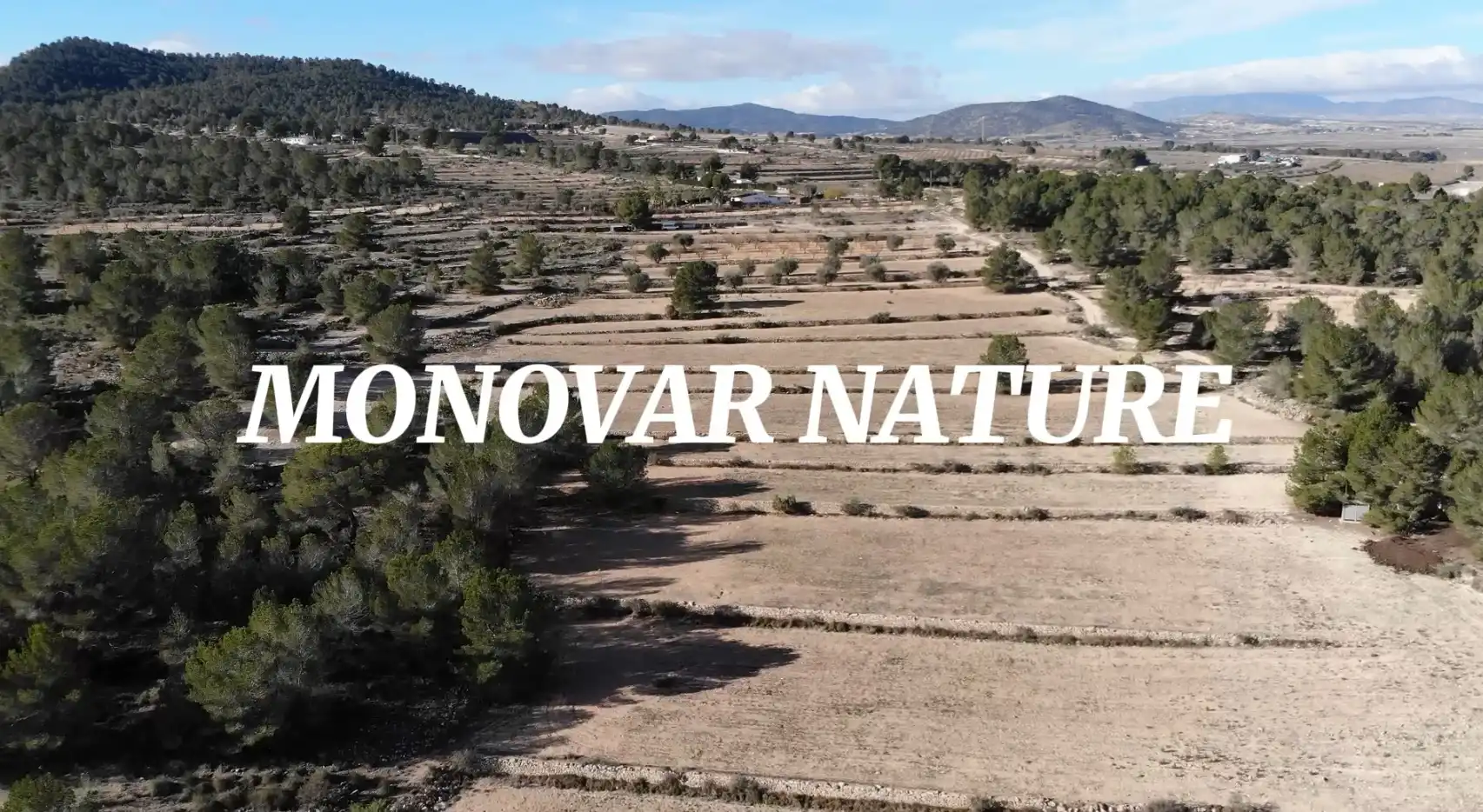 Terreno en venta en Monóvar  / Monòver