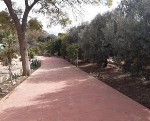 Jardí de Finca rústica en venda en Santa Fe de Mondújar amb Terrassa