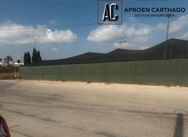 Terreno en Alquiler en Avenida de Los Alcázares en Torre-Pacheco ciudad