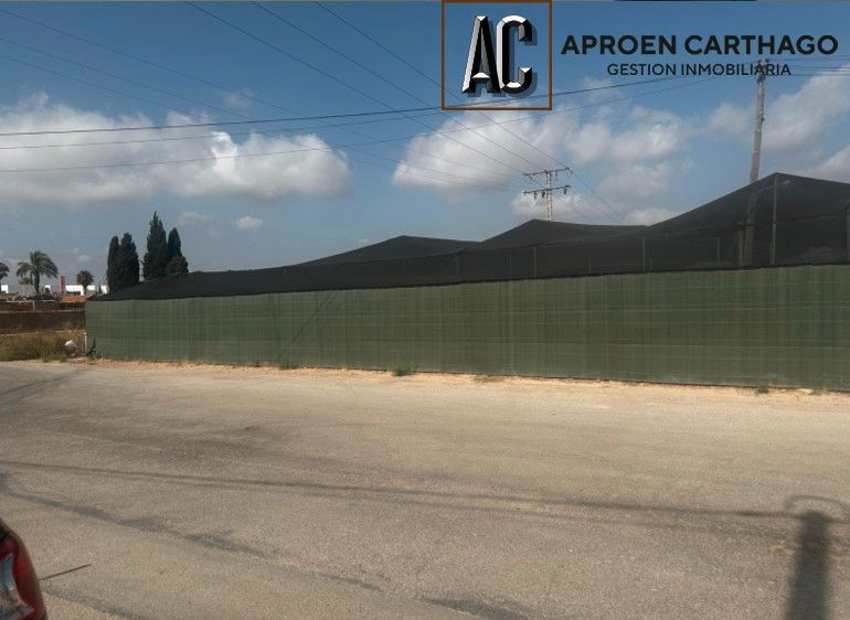 Grundstücke zur Miete in Torre-Pacheco