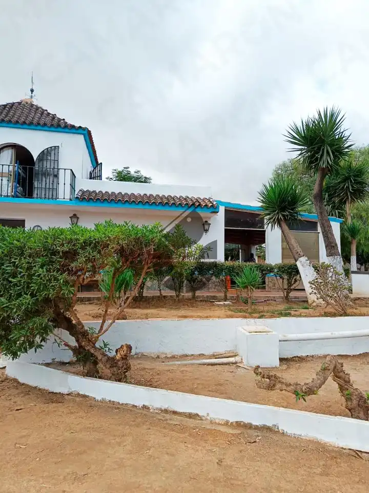 Landhaus mit Pool zum Verkauf in La Puebla del Río, imagen 6