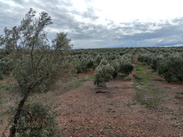 Terreno en Venta en Montizón