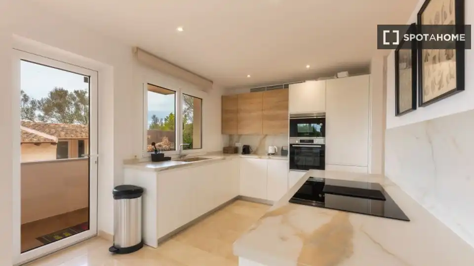 Kitchen of Apartments for share in  Palma de Mallorca  with Air Conditioner, Terrace and Furnished