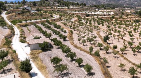 Foto 5 de Finca rústica en venta en El Pinós / Pinoso, Alicante