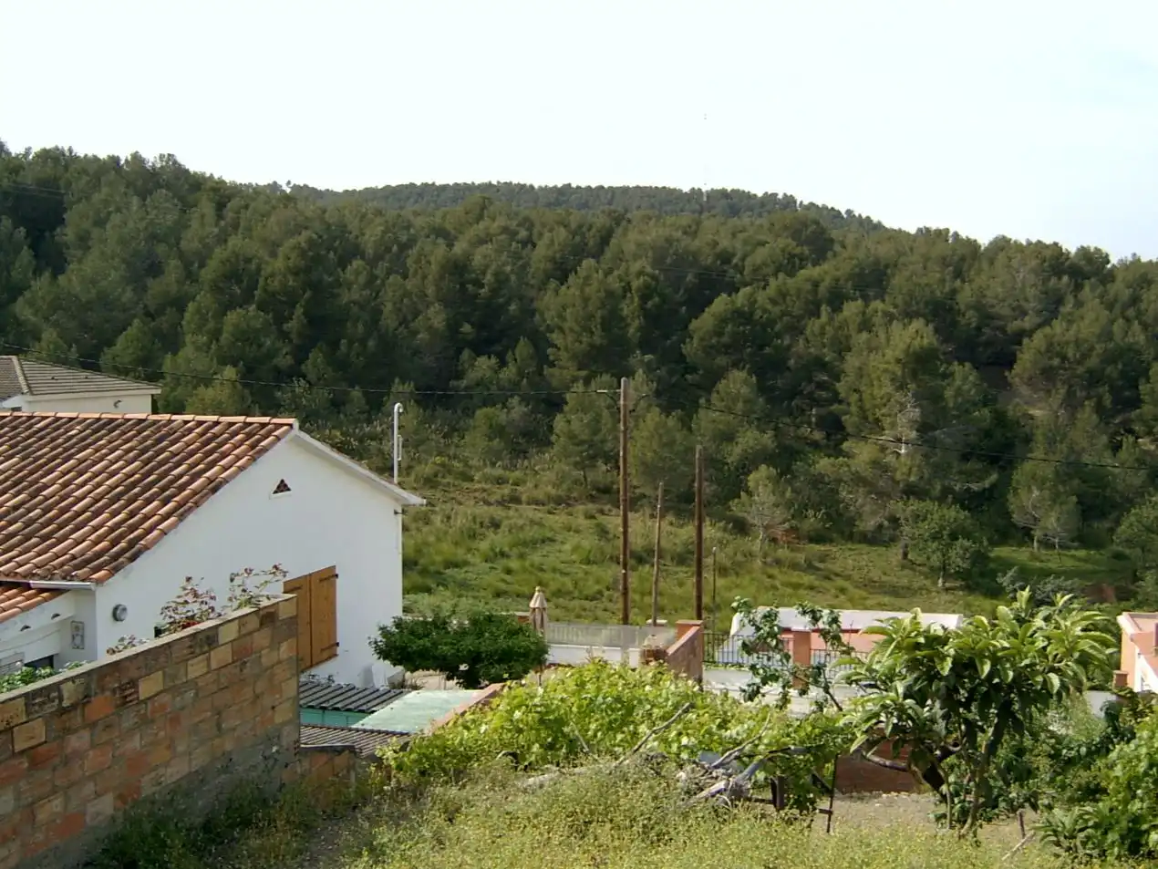 Terreny residencial en venda a Carrer de les Acàcies 77, imagen 4