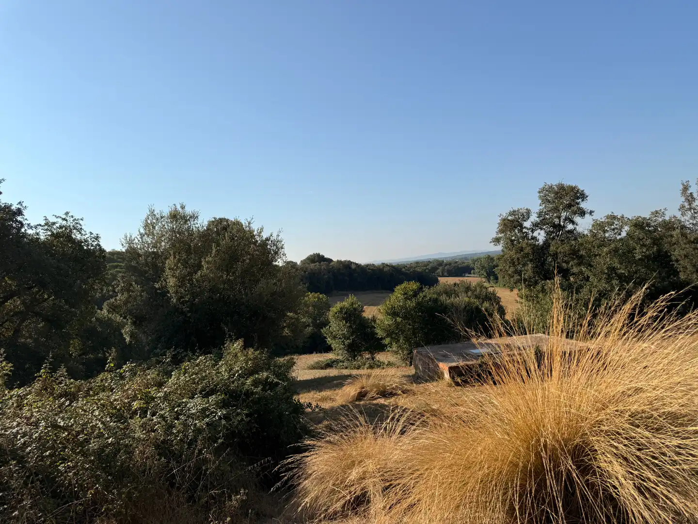Finca rústica en venda en Vilobí d'Onyar
