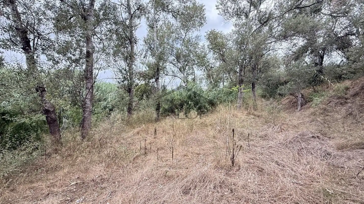Maison rustique avec jardin à vendre à Carcaixent, imagen 11