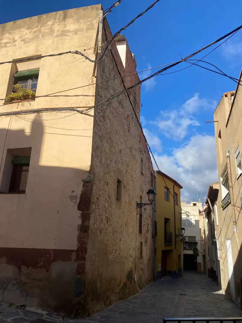 Vista exterior de Finca rústica en venta en Riudecanyes con Calefacción, Terraza y Amueblado