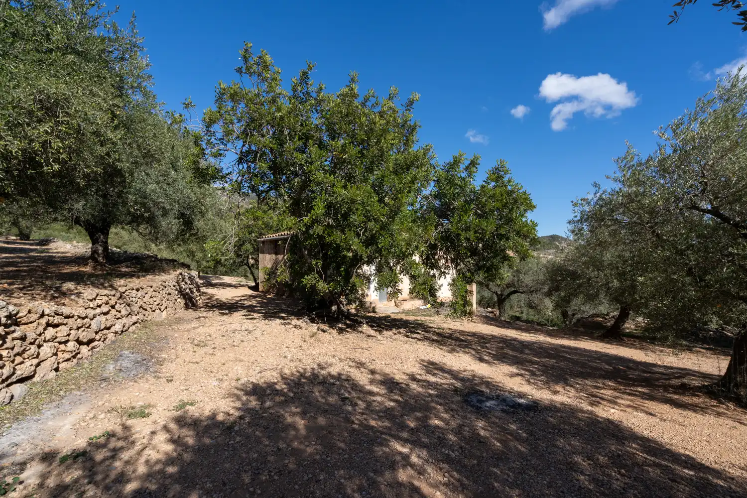 Terrain rustique à vendre à Xerta, imagen 17