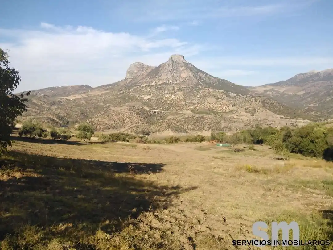 Terreno en venta en Zahara