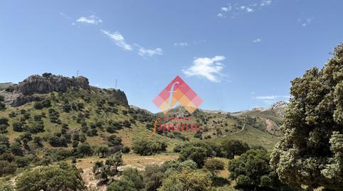 Foto 3 de Finca rústica en venda a San Rafael, Málaga