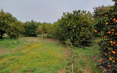 Grundstücke zum verkauf in Coín